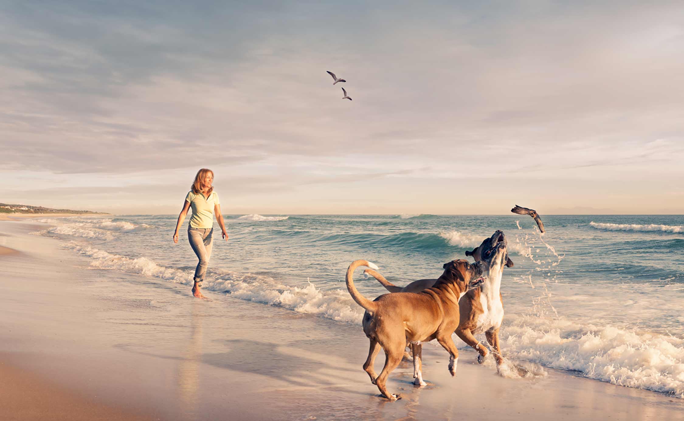 AS Naturprodukte Online Shop für Mensch und Tier